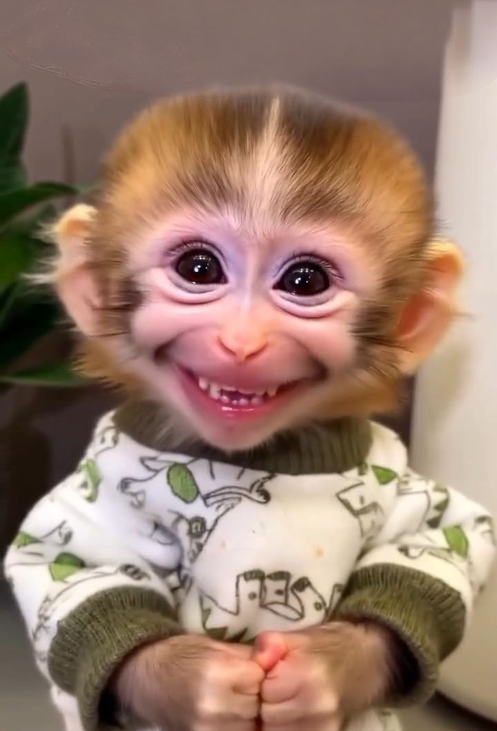 LED Lamp for Motorcycle